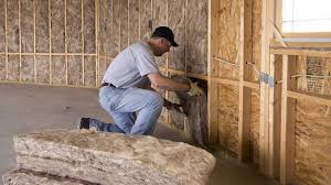 Best Wall Insulation Installation  in Rossvle, IL